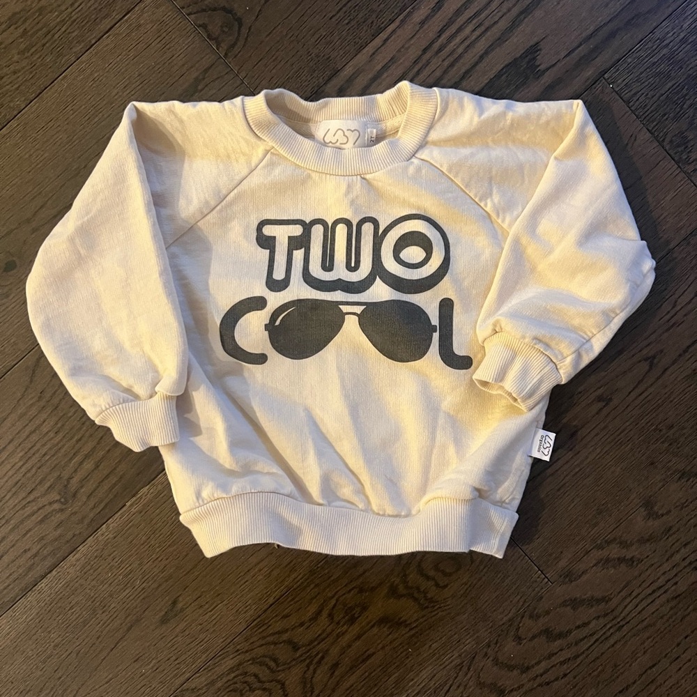 Two Cool 2T Sweatshirt - Natural  Color - Never worn!